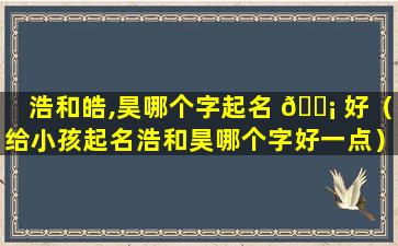 浩和皓,昊哪个字起名 🐡 好（给小孩起名浩和昊哪个字好一点）